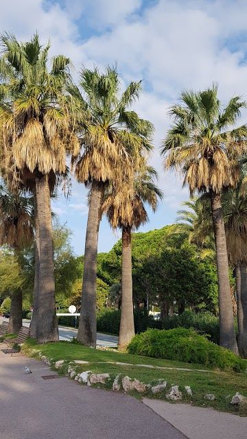 Casino Le Palm Beach de Cannes